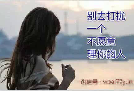 不理你的人别去打扰了 ?别去打扰一个不愿意理你的人