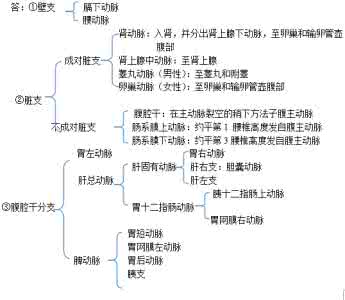 医学基础知识名词解释 医学基础知识名词解释热点汇总