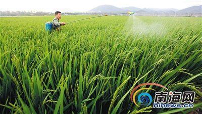 农作物 土生土长 生土适合种什么农作物？