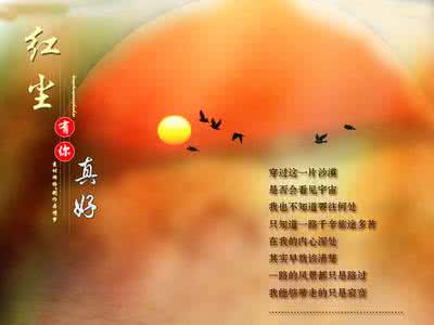 感谢有你相伴 感谢一路有你相伴【情感美文】