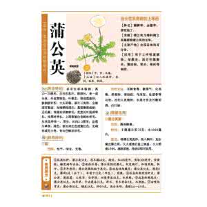 根治高血压的绝世秘方 【名医秘方】图荐《高血压根治特效神方土茯苓降压汤》