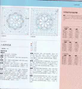 100祖母方格花样图编2 100祖母方格花样图典