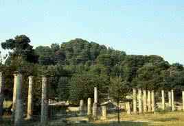 常绿硬叶林 亚热带常绿硬叶林 亚热带常绿硬叶林景观出现在哪种气候区中 A．热带雨林气候B．地中海气候C．热带季风气候D．亚热带季