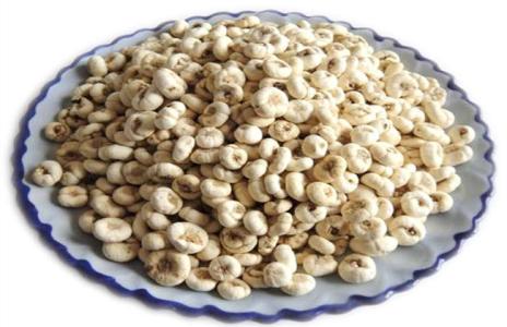紫苏子的功效与作用 麦冬功效与作用是什么 紫苏子的功效与作用是什么呢