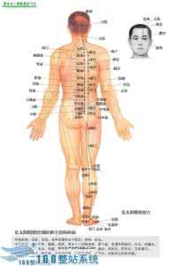 足太阳膀胱经 膀胱经腧穴 足太阳膀胱经本经腧穴之至阴 | 穴位常识