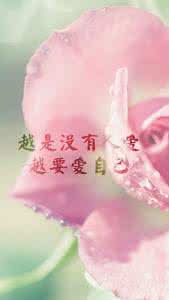 心灵鸡汤经典语录唯美 精选15条唯美语录，句句透彻心灵