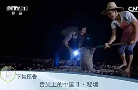 舌尖上的中国第二部 舌尖上的中国第二部抢先看(视频)