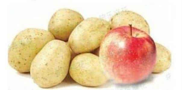 土豆发芽了还能吃吗 生活小常识 放个苹果土豆不升芽