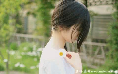 温暖心灵的情感美文 纯白年华，倾心相遇【情感美文】