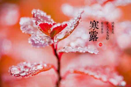 处暑属于哪个季节 寒露属于哪个季节