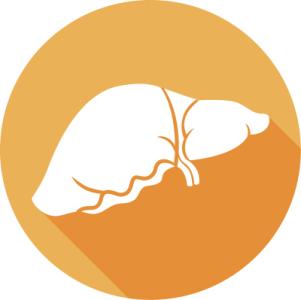 保肝护肝的药 易善复 以“动”保肝