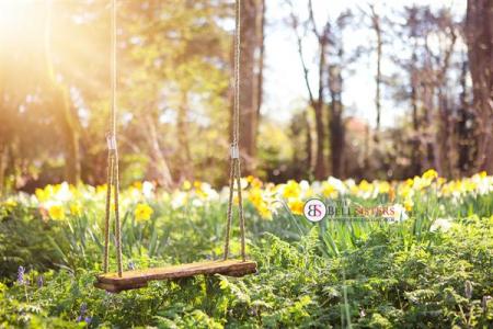 自然学校十年生活札记 清新生活札记