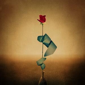 时间的玫瑰 但斌 时间的玫瑰