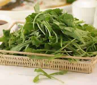 野生水芹菜注意事项 芹菜不能和什么一起吃 吃芹菜需要注意什么
