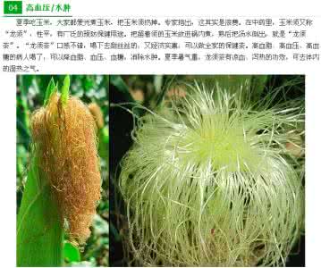 民间流传的无价偏方 民间流传的无价偏方 民间流传的六大偏方,让你会得到意想不到的.......