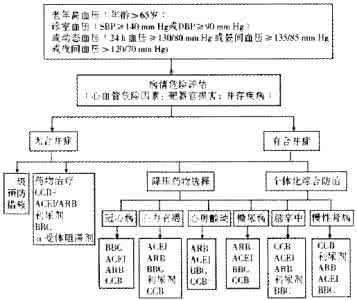 高血压临床路径 老年高血压特点及临床诊治路径