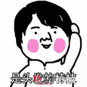 2017最火流行语 2015最火的流行语竟然是