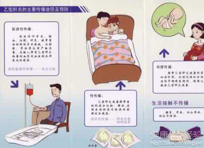 乙肝的传播途径及预防 乙肝的传播途径 乙肝如何预防