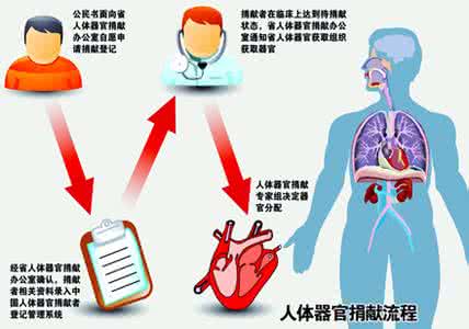 全球器官移植统计 中国器官移植费用将定标准 全球最便宜