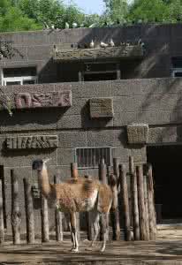 园日涉以成趣 陈从周 园日涉以成趣陈从周 园日涉以成趣阅读答案