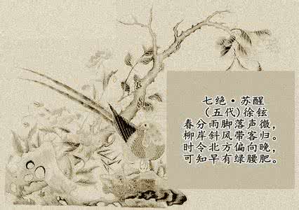 魏道武帝拓跋珪 解密:北魏道武帝拓跋珪为何制定“子贵母死”制度?