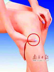 护肝健脾 【健脾护肝】养肝先护脾,专家教您肝脾的综合调理