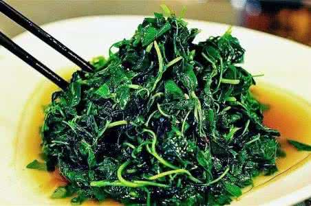 万年青野菜 物道丨春风十里野菜“青”