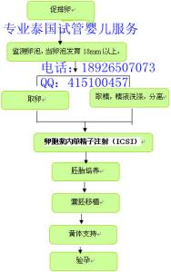 泰国试管婴儿费用 泰国试管婴儿流程 完整的泰国试管婴儿流程和费用是怎么样的？