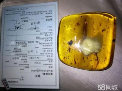 血虫珀的价值 虫珀的价值 虫珀简介及其价值