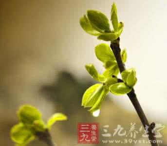 养生宝典 立夏养生宝典