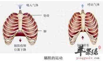 肺功能不好怎么调理 肺功能不好怎么调理 什么运动对肺好