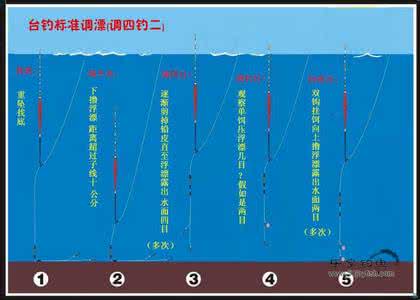 台钓最简单的调漂方法 简单调漂