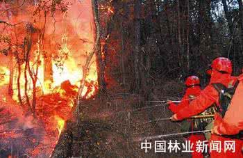 森林火灾扑救方法 扑救森林火灾的方法