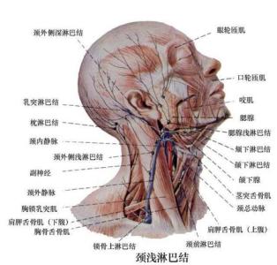 脖子淋巴结节怎么消除 左脖子淋巴结怎么消除？