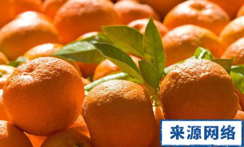 水果茶一般多少款适合 秋季适合准妈妈吃的几款水果