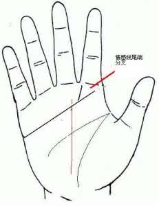 注定嫁有钱人的手相 必嫁有钱人的手相特征
