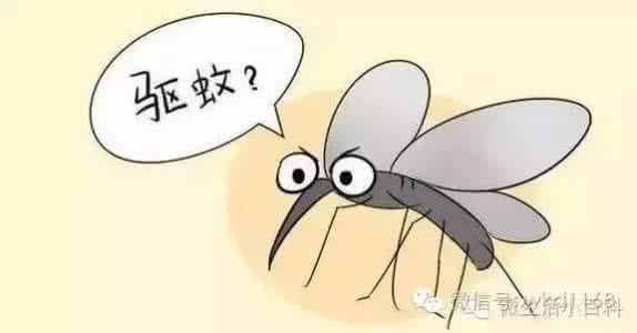 蚊子腿也是肉 惊呆了!毫不起眼的蚊子竟也是毒王