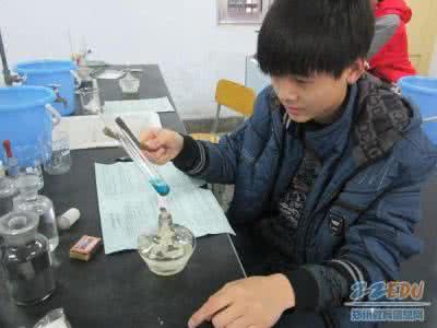 探究精神 试论如何激发学生主动探究的精神