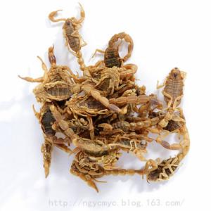 蜈蚣全蝎的功效与作用 面瘫不能动，蜈蚣全蝎一起用