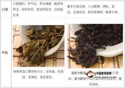 中国普洱茶古六大茶山 中国六大茶类至今,普洱终结