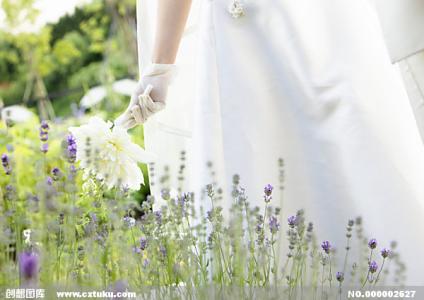 青岛海景花园婚姻价格 让婚姻成为爱情的花园