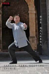 杨式太极拳85式视频 视频: 武术与健身 杨式太极拳八十五式教学 上下集