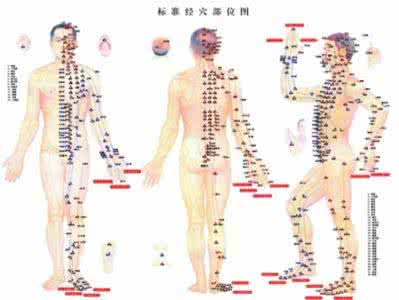 人体12经络图片高清 《人体经络穴位（高清版）》全集