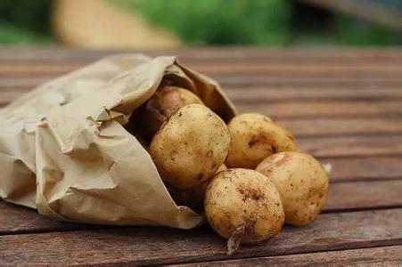 偏方土豆治银屑病 土豆美白土偏方