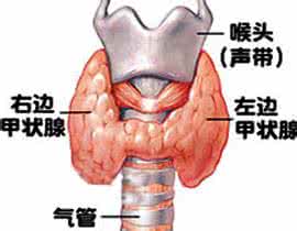 甲状腺低下能治愈吗 甲状腺功能低下 甲状腺功能低下的分型