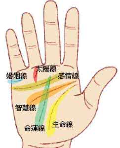 生育子女情况证明 手相观察生育子女情况