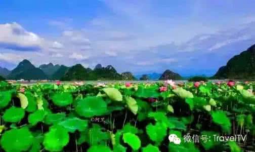 瑞和春天私人美丽定制 和春天一起美起来