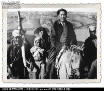 毛主席为什么不回延安 毛主席为何不回延安?这个结论会让宝塔山下的人们感到骄傲
