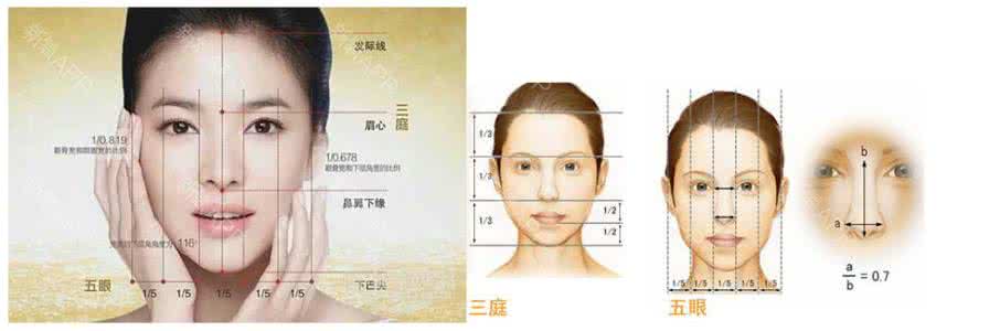 脸型和鼻子好看 鼻子形状搭配脸型 鼻型与脸型的关系丨科普