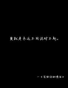 永远不要说对不起 爱，就是永远也不用说对不起